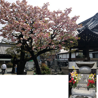 2014apr16.jpg