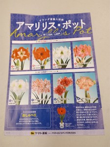 IMG_20190109_181511.jpg