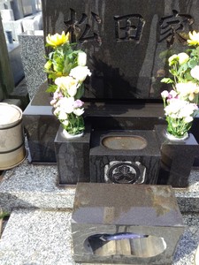 IMG_20190207_103841.jpg