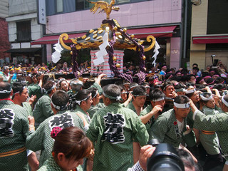 P5150227.jpg