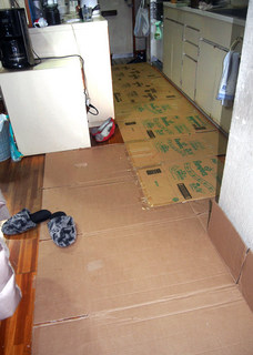 PB251251.jpg