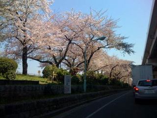 sumidagawa.jpg